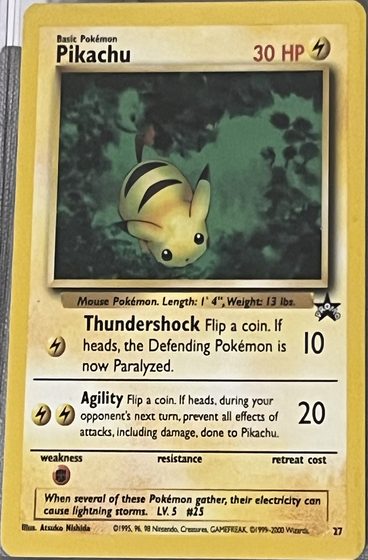 Pikachu (27)
